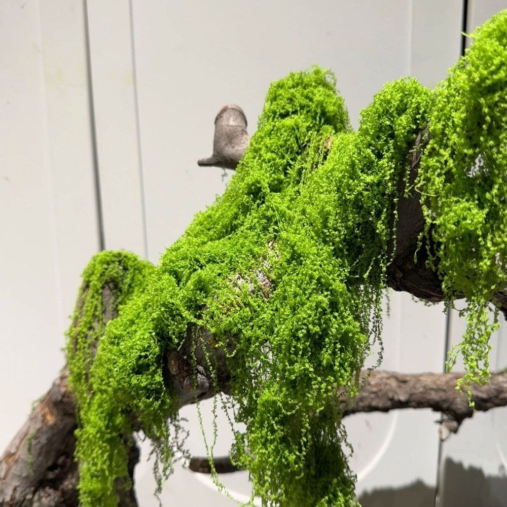 Terrarium Moss Art - Polyester Künstliches Moos DIY-Bastelbedarf Realistische Textur