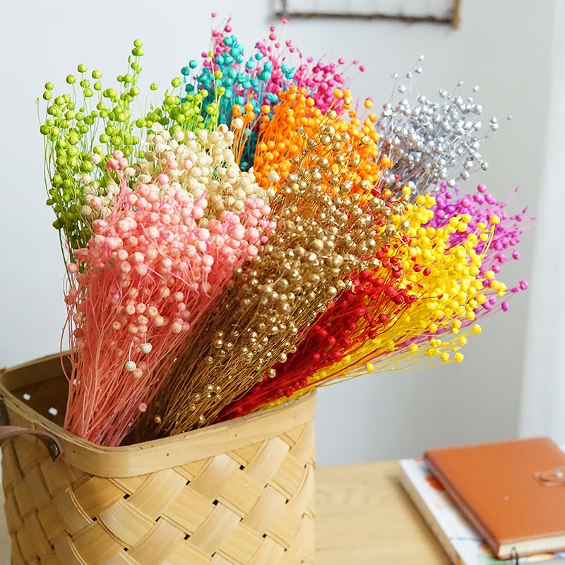 35 g/konservierte Ormosia Hosi – Dried Flower Bulk Bewertung und Preis