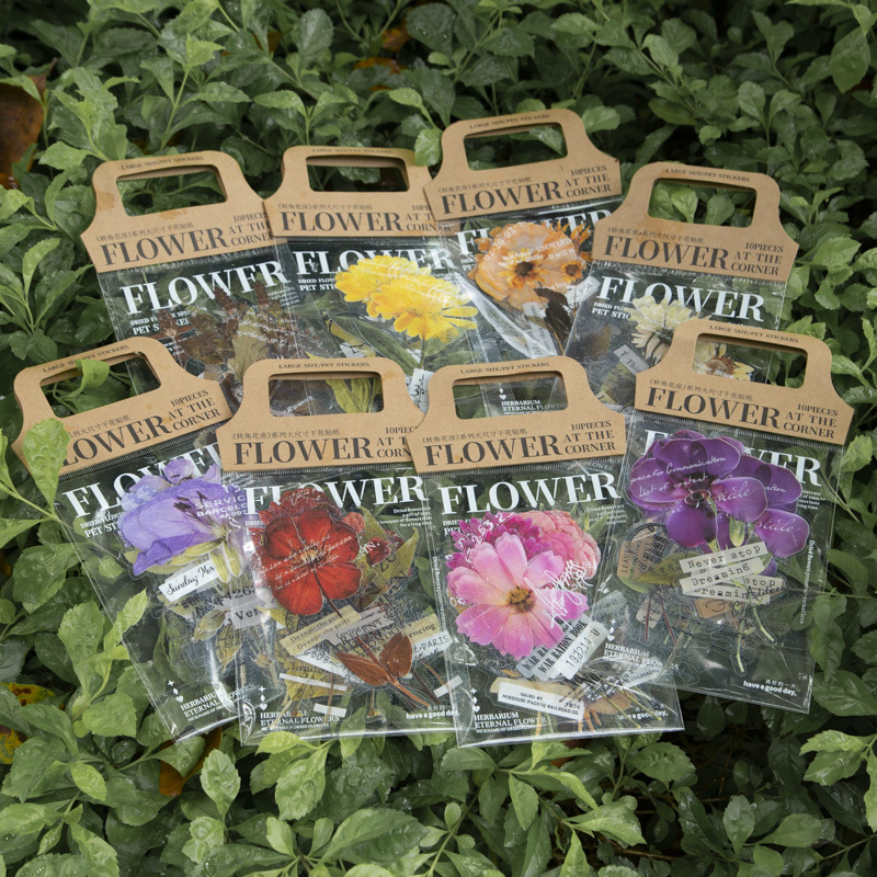 10 Stück/Packung Eckblumenhaus – Dried Flower Bulk Bewertung und Preis