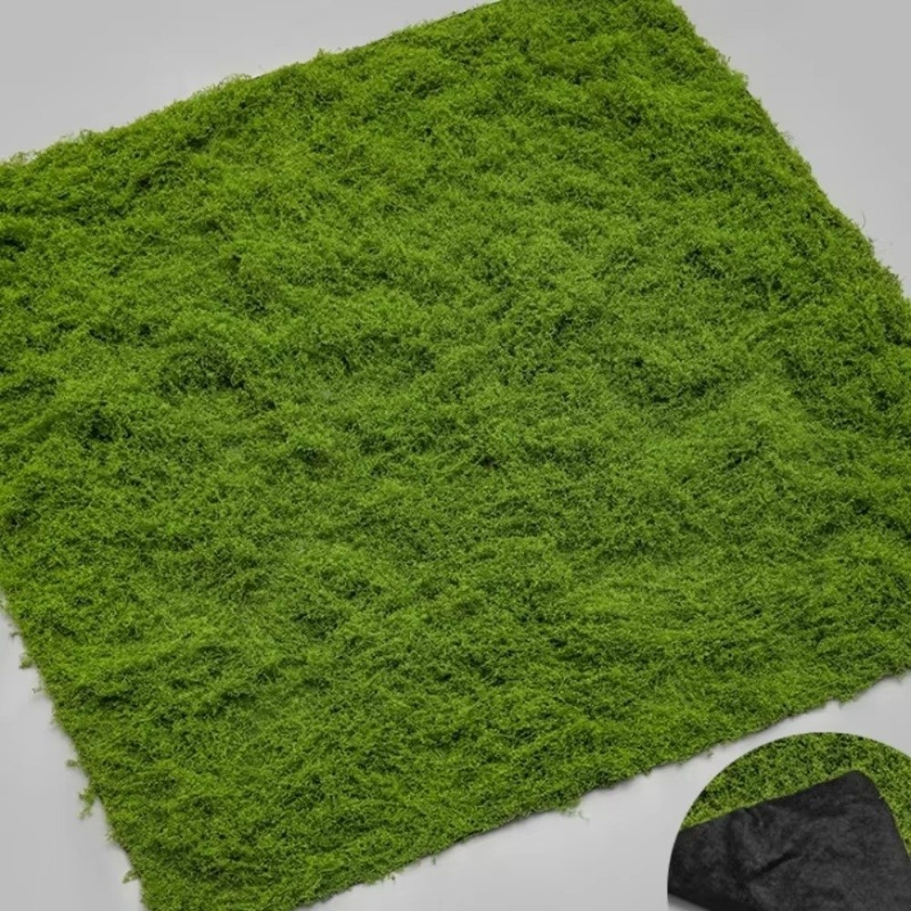 DIY Kunstrasen-Teppich Langleb – Terrarium Moss Art Bewertung und Preis