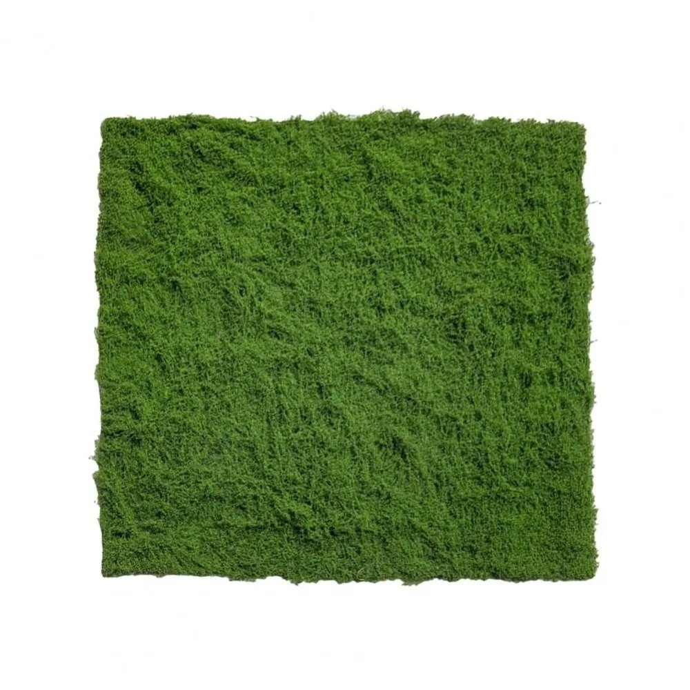 DIY Kunstrasen-Teppich Langleb – Terrarium Moss Art Bewertung und Preis
