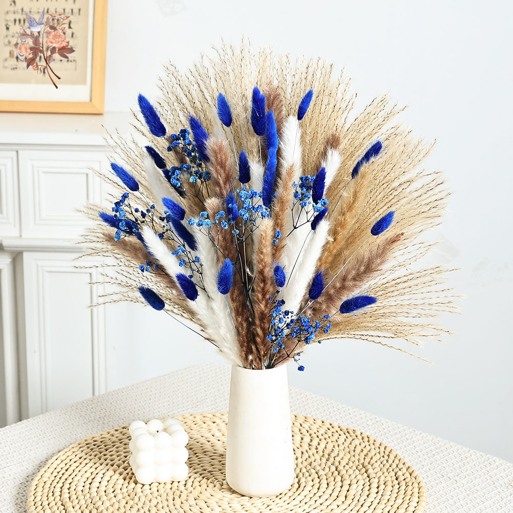 Blauer, flauschiger Kaninchens – Dried Flower Bulk Bewertung und Preis