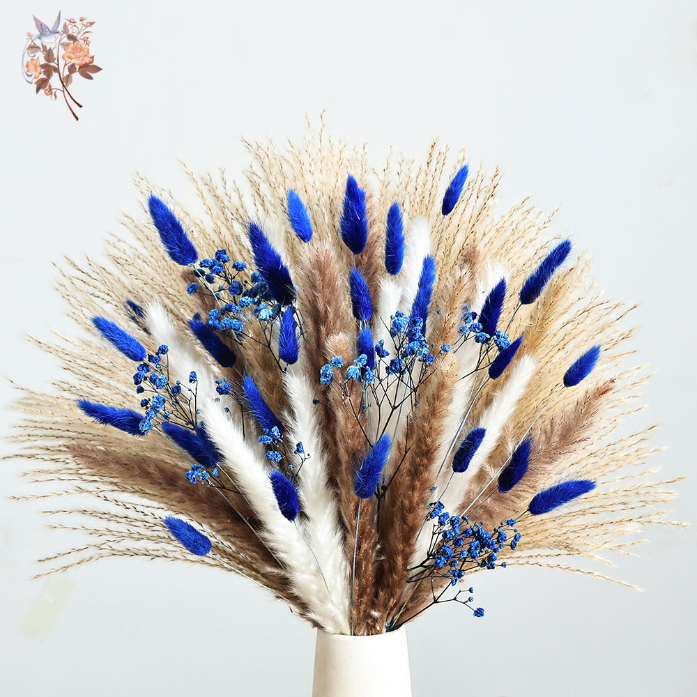 Blauer, flauschiger Kaninchens – Dried Flower Bulk Bewertung und Preis