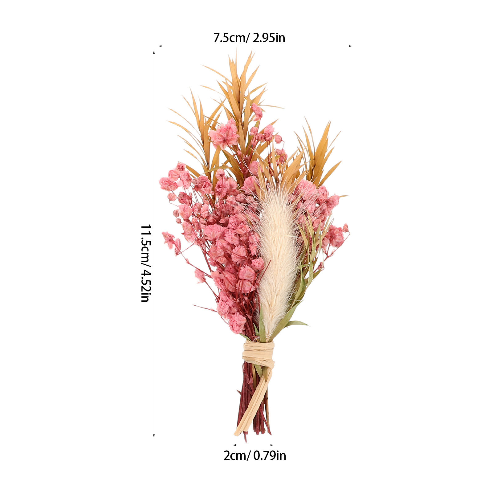 3-teiliges Mini-Trockenblumen- – Dried Flower Bulk Bewertung und Preis