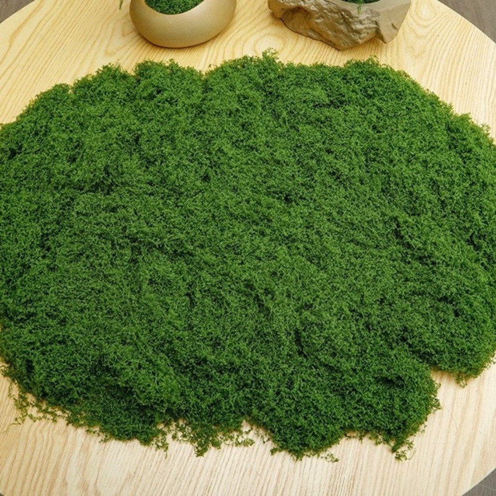 Polyester Künstliches Moos DIY – Terrarium Moss Art Bewertung und Preis