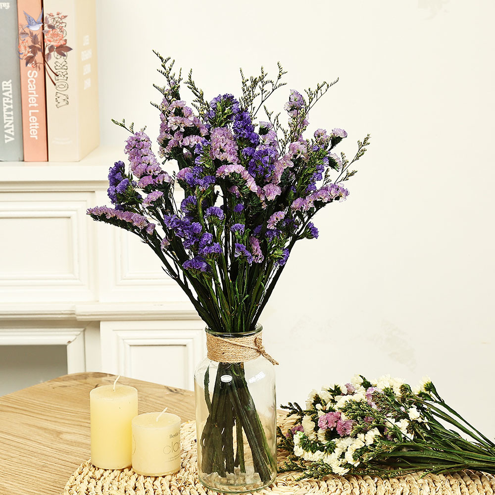 100 g natürliche echte vergiss – Dried Flower Bulk Bewertung und Preis