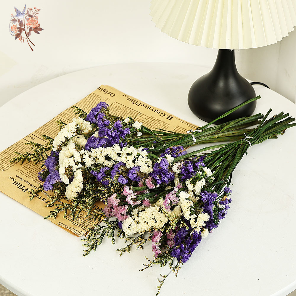100 g natürliche echte vergiss – Dried Flower Bulk Bewertung und Preis