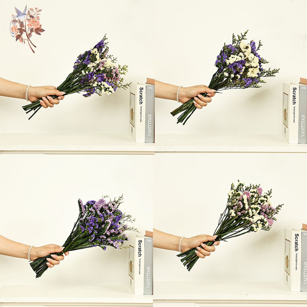 100 g natürliche echte vergiss – Dried Flower Bulk Bewertung und Preis
