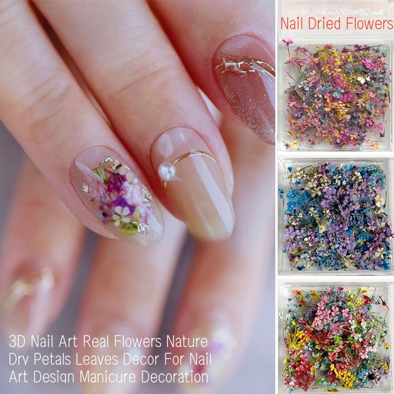 Gemischte kleine getrocknete B – Dried Flower Bulk Bewertung und Preis