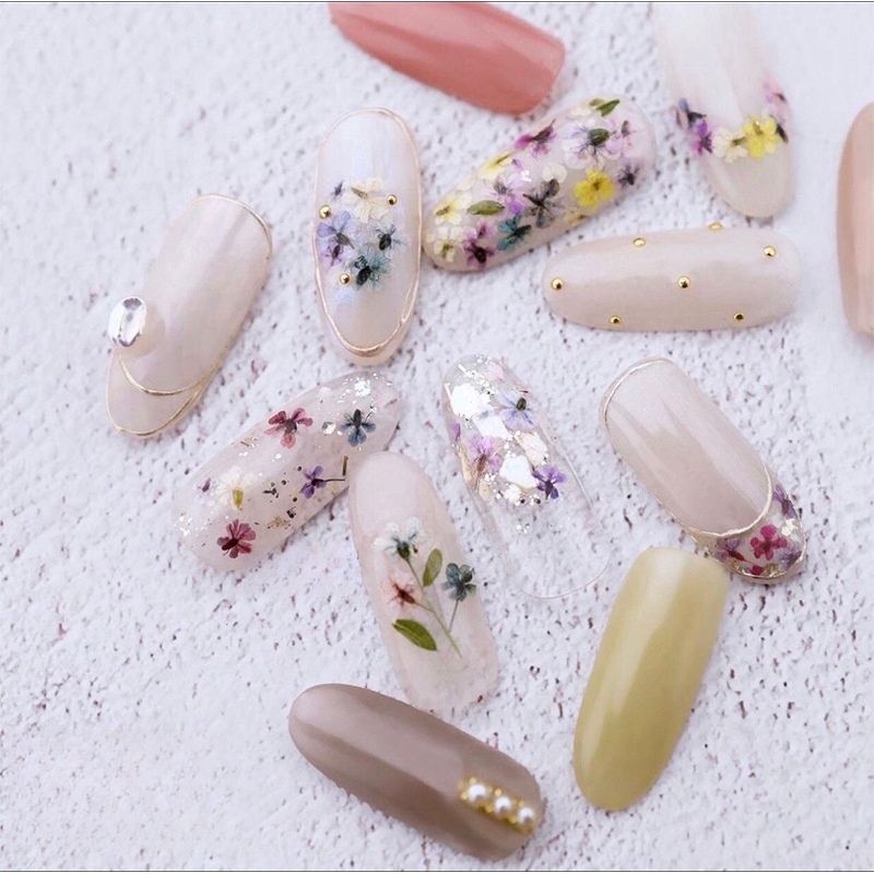 Gemischte kleine getrocknete B – Dried Flower Bulk Bewertung und Preis